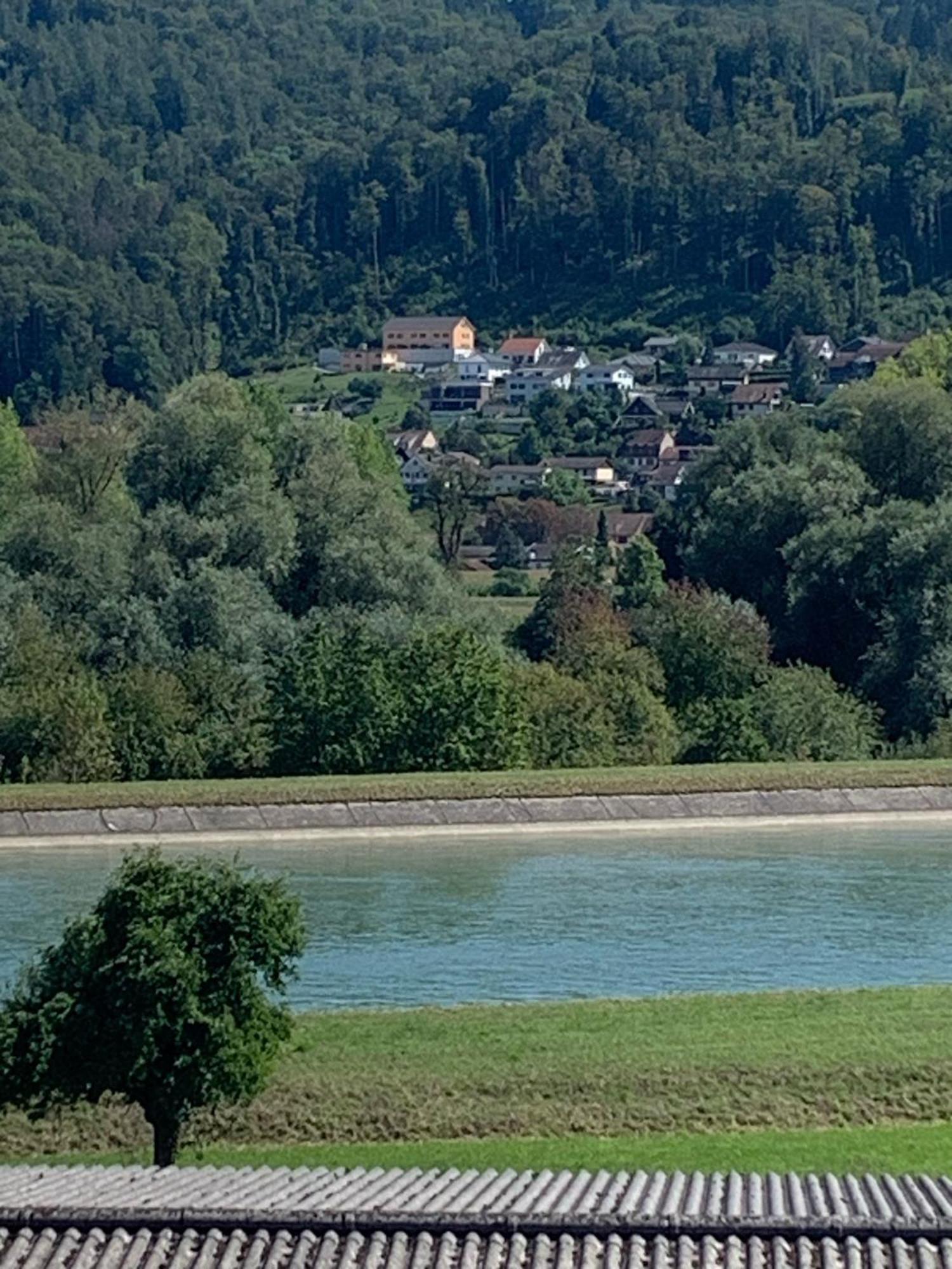 Hochrhein Ferienwohnung Albbruck Kültér fotó
