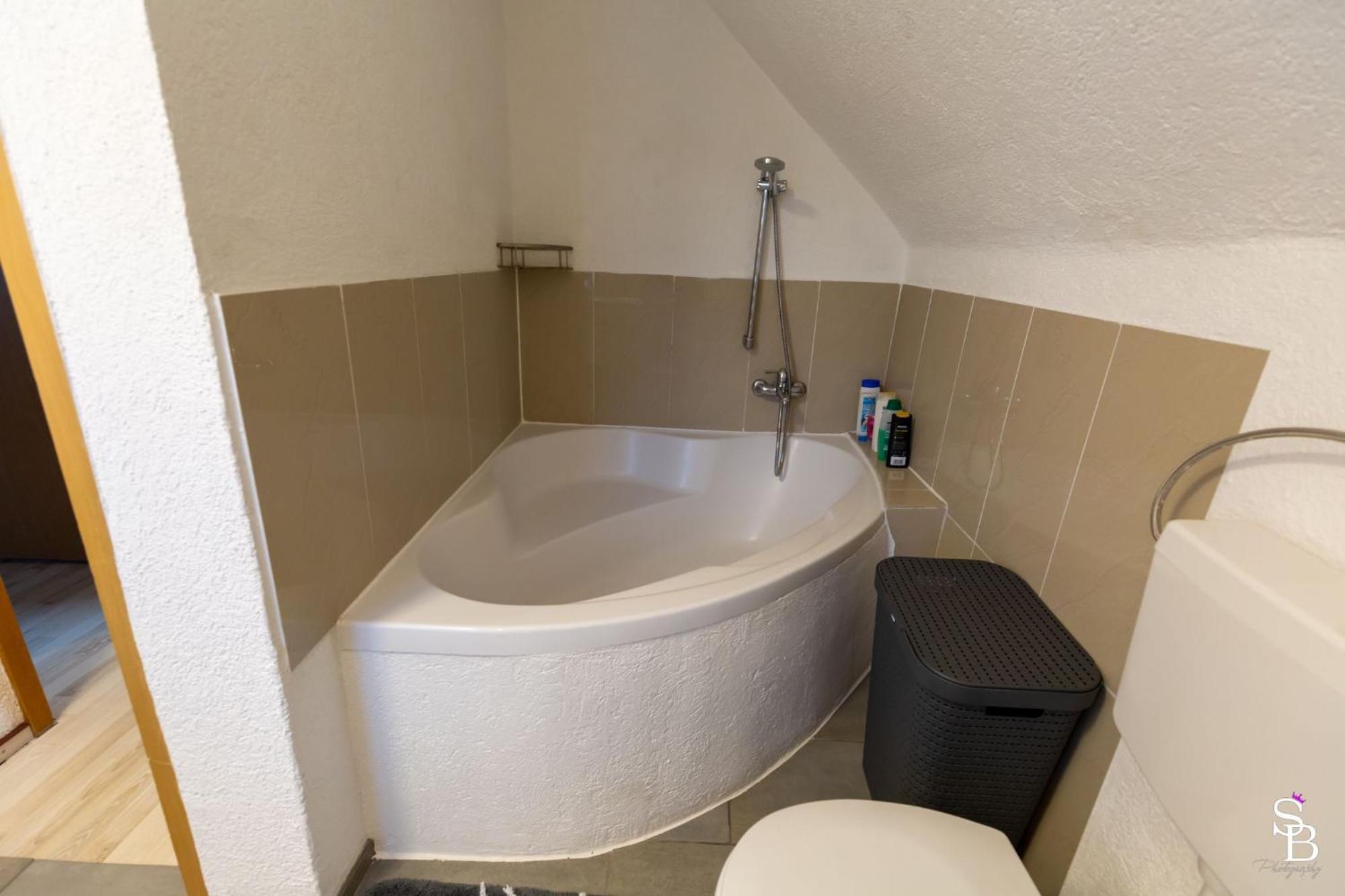 Hochrhein Ferienwohnung Albbruck Kültér fotó