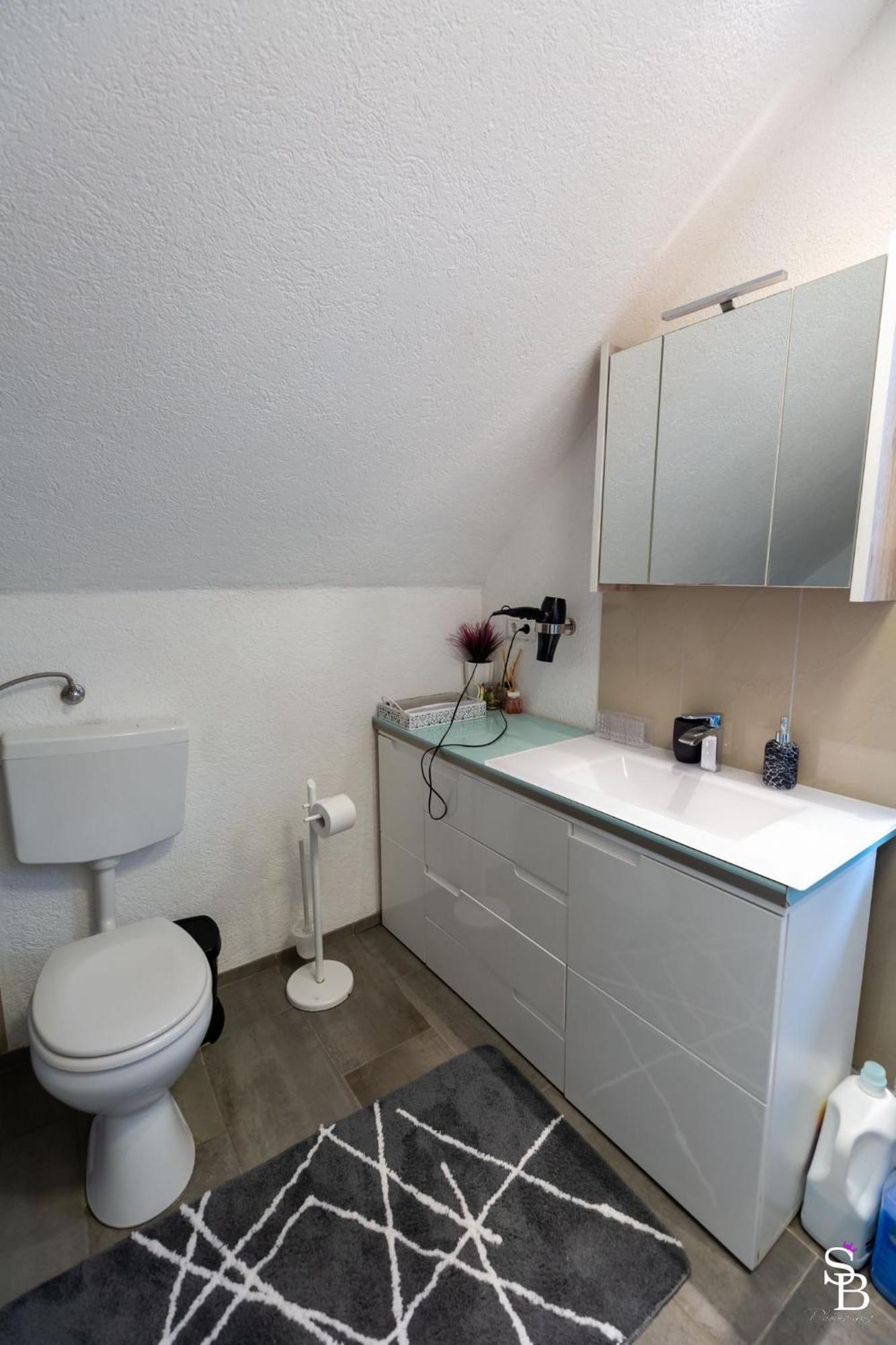 Hochrhein Ferienwohnung Albbruck Kültér fotó